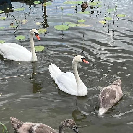 Hotel Am Grundlossee Sewekow